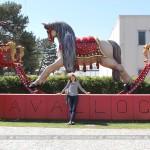 museodelcavallo_2